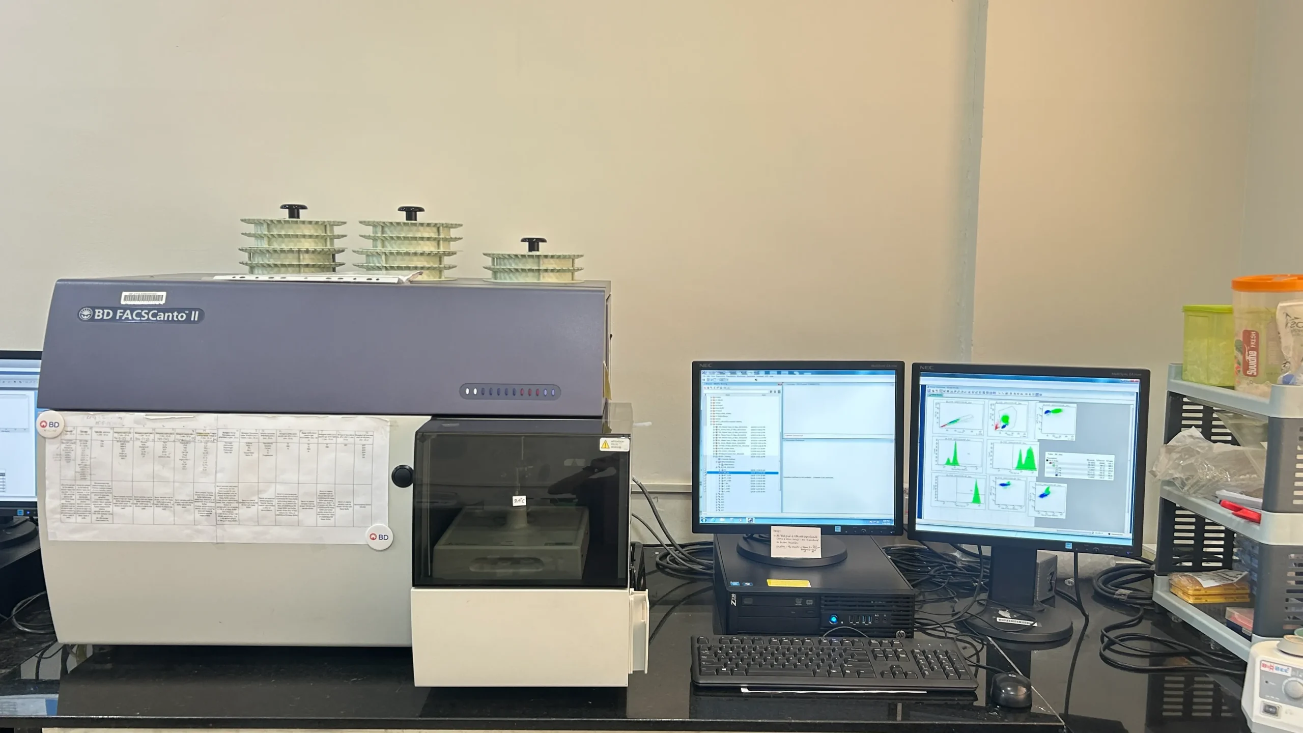 IMG_8147.JPG